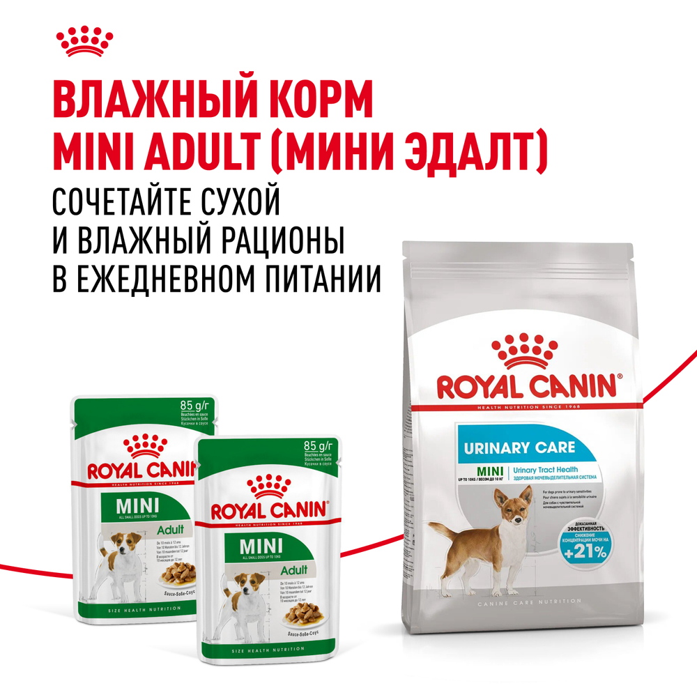Royal Сanin Mini Urinary Care Мини Уринари Кэа Корм сухой диета для собак мелких размеров с чувствительной мочевыделительной системой 3кг
