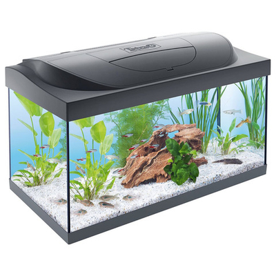 Tetra Starter Line LED 54 л - прямоугольный аквариум со светом LED и оборудованием