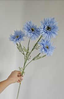 Голубой/синий/фиолет