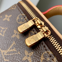 Louis Vuitton Nice Beauty