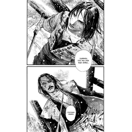 Манга Клинок бессмертного. Том 15