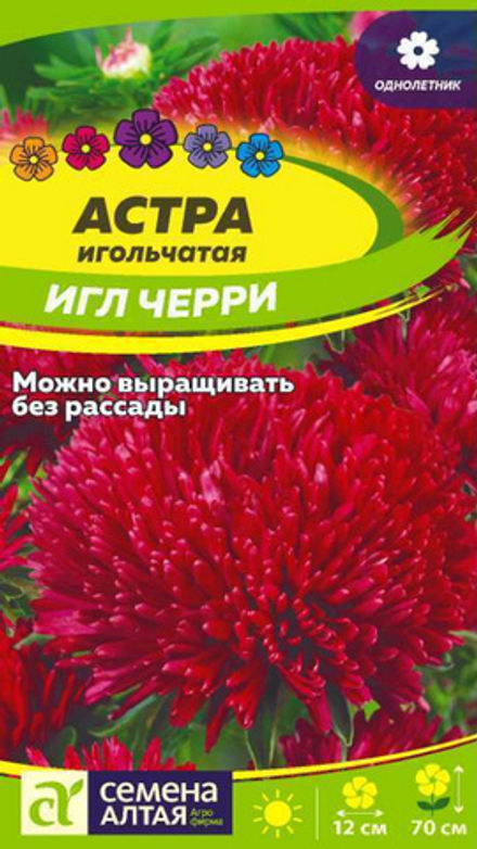 Астра игольчатая "G. Игл Черри" 0,2г., Россия.