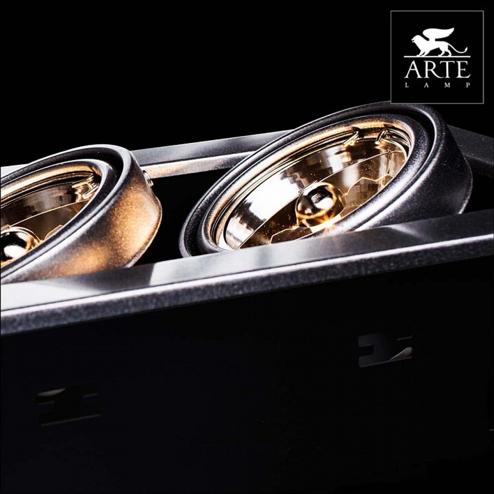 Встраиваемый светильник Arte Lamp A5930PL-2SI