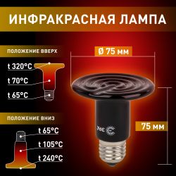 Инфракрасная лампа ЭРА CeramiHeat FITO-50W-НQ керамическая для брудера, рептилий 50 Вт Е27 | Инфракрасные лампы