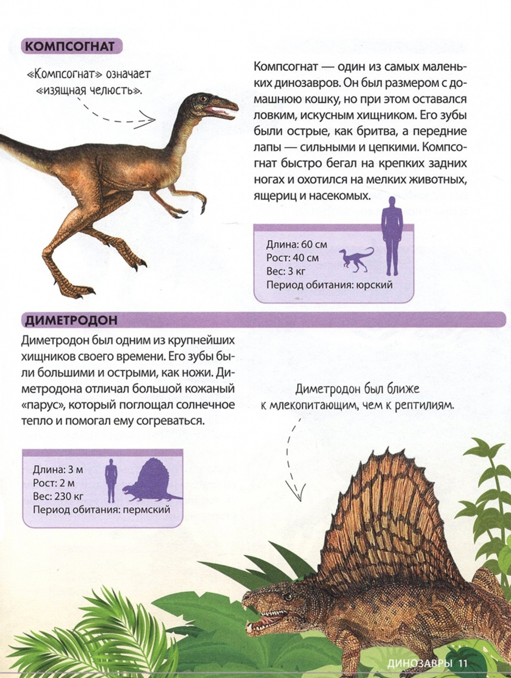 Удивительные динозавры. Детская энциклопедия