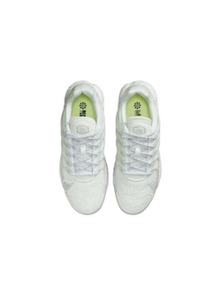 Кроссовки Nike Air Max Terrascape Plus White Pure Platinum