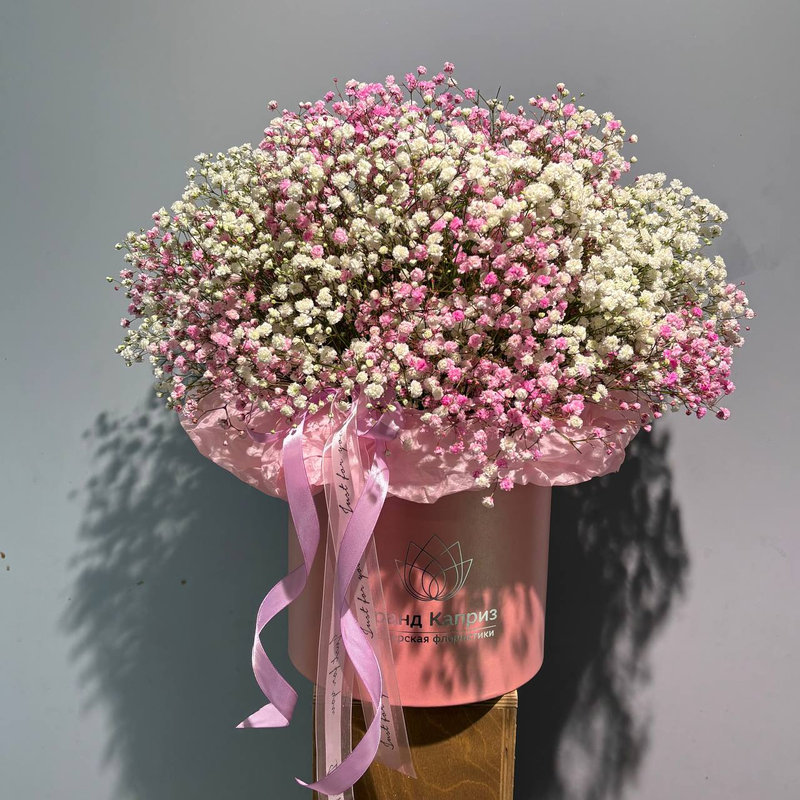 Композиция из белой и розовой гипсофилы