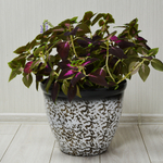 Кашпо Тирамису 35см h29см