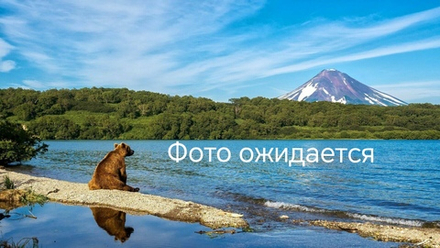 Infinix Note 30i (X6716) (BL-49OX) Аккумулятор (батарея) (ORIG)