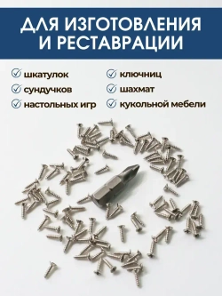 Набор саморезов 1,6х8 мм, хром, 100 шт