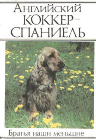 Английский коккер-спаниель