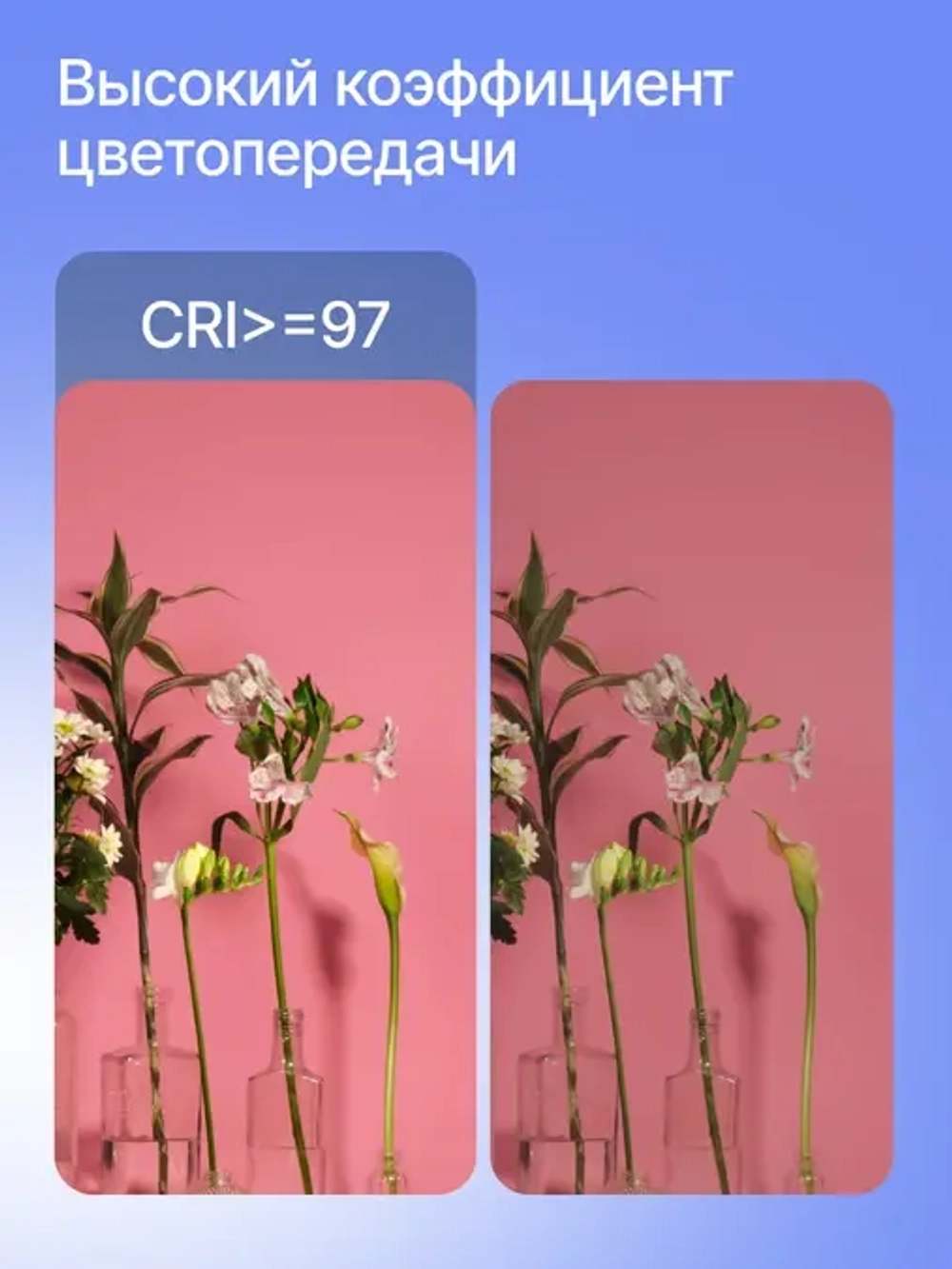 Осветитель светодиодный Raylab RL-100BI 2700-6500K 100W 5000mAh c аксессуарами