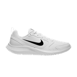 Кроссовки Nike Todos (Женская размерная сетка)