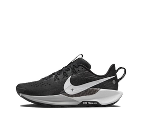 Женские кроссовки Nike Pegasus Trail 5 'Black White' DV3865-001