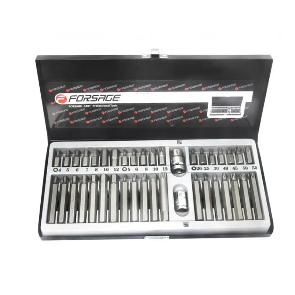 Набор бит с битодержателями 40пр. (10мм)(75/30мм:T20-T55,H4-H12,M5-M12) Forsage F-4401C