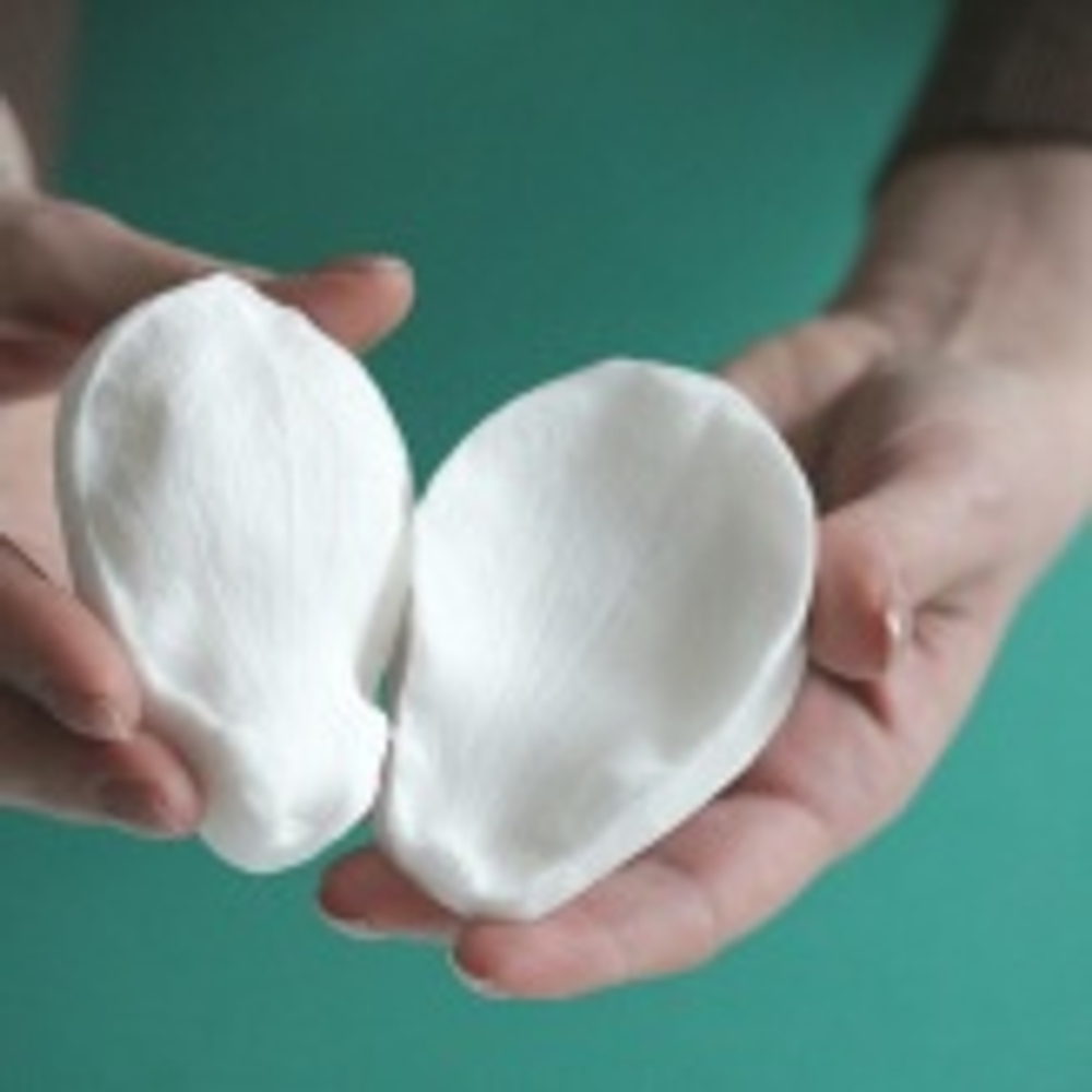 Вайнер лепесток Анемона, Магнолии