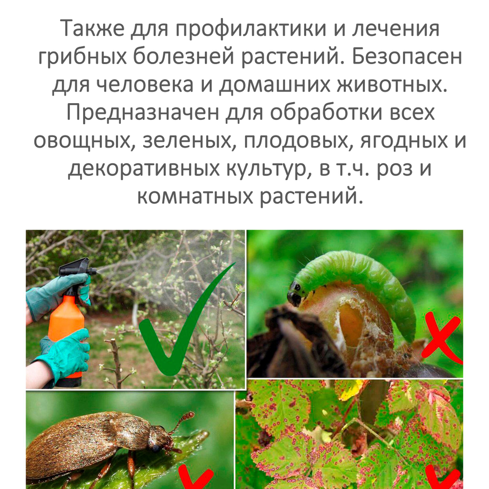 Neem Oil / Масли НИМ, средство от болезней и вредителей