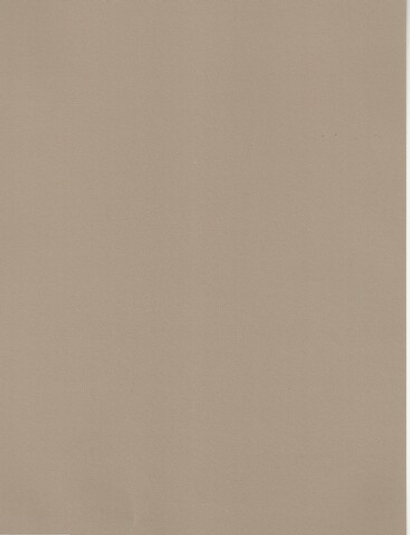 Ламинированный гипсокартон Ral 1019