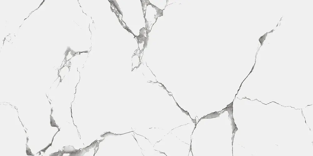 Керамогранит Royce Evon Statuario Matt 60x120 см (R_NR2003)