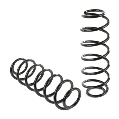 Пружины GANZ задние L=R Ford Fusion 1.2004- (комплект 2 шт.) Арт.: GIK02311