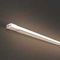Гибкий неон Maytoni Led Strip 5м 432029