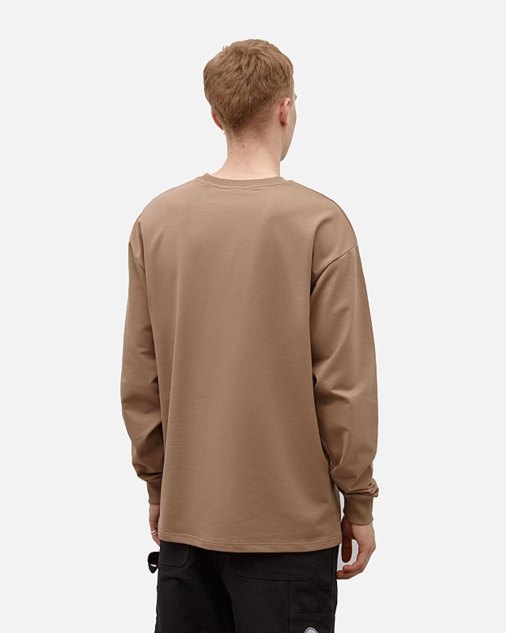 Лонгслив Anteater Phat Long098 бежевый