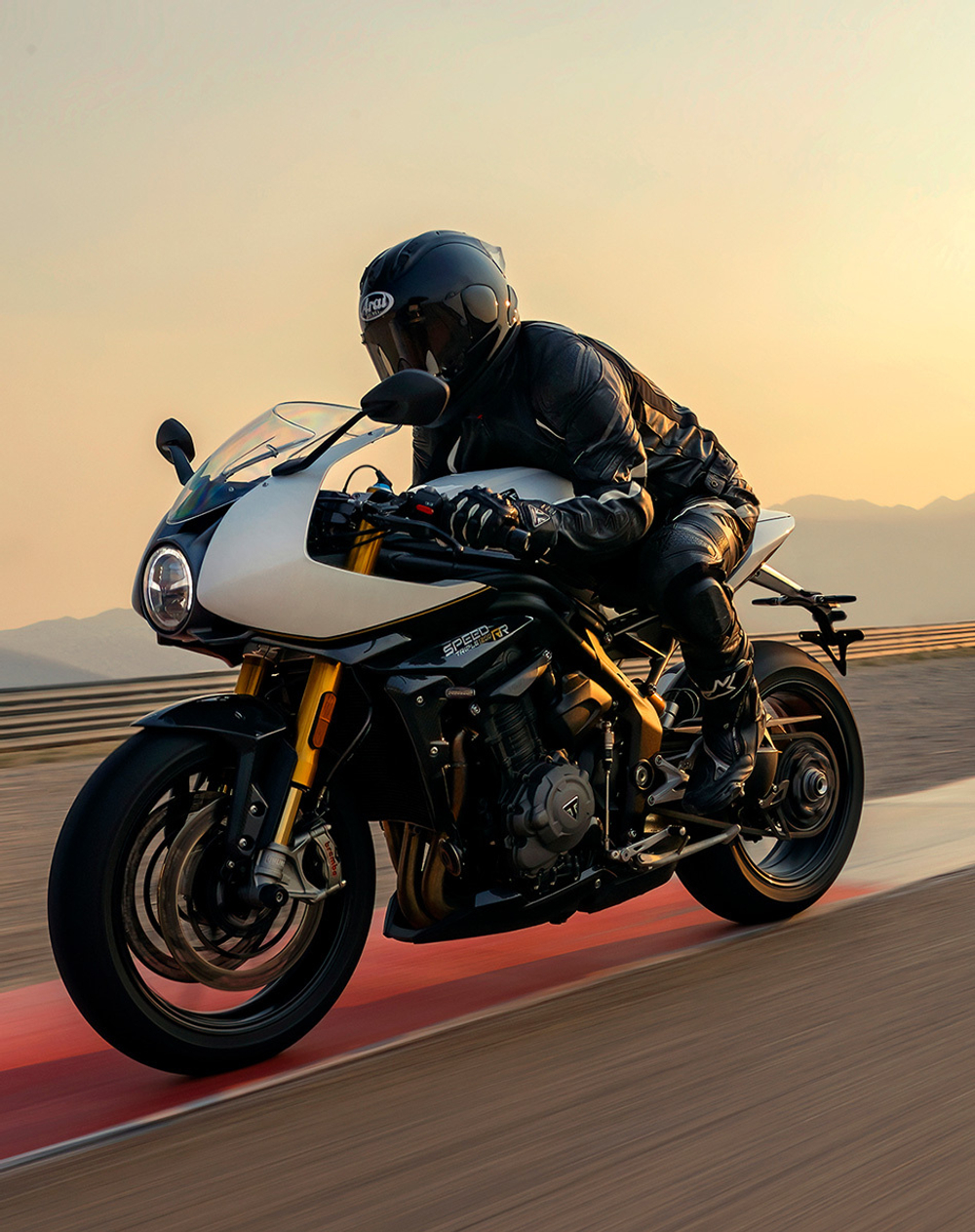 SPEED TRIPLE 1200 RR