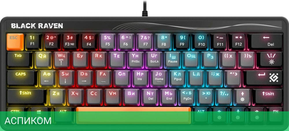 Клавиатура Defender Black Raven GK-417 RU RGB (45413)