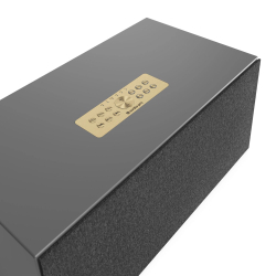 Беспроводная колонка AUDIO PRO C20