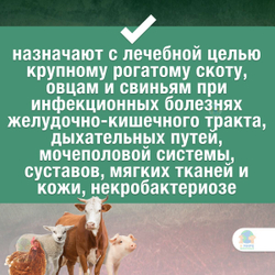 Раствор антибактериальный Амоксисан Apicenna, для инъекций животным, 100 мл. Амоксициллин.