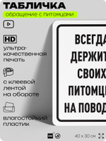 Табличка "Всегда держите своих питомцев на поводке" на дверь и забор, для двора, дома, подъезда, 40х30 см, Silver Plane x Айдентика Технолоджи