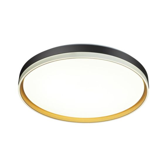 Настенно-потолочный светильник Sonex SAVI 7619/ELN