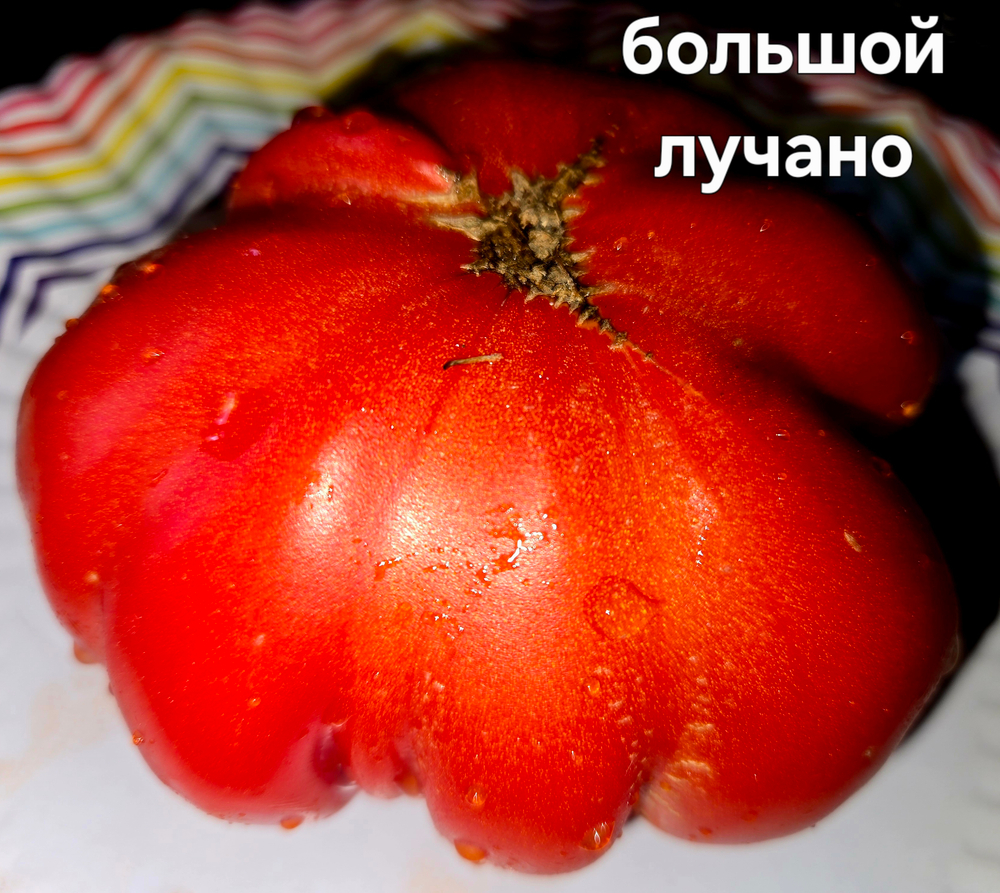 Большой лучано