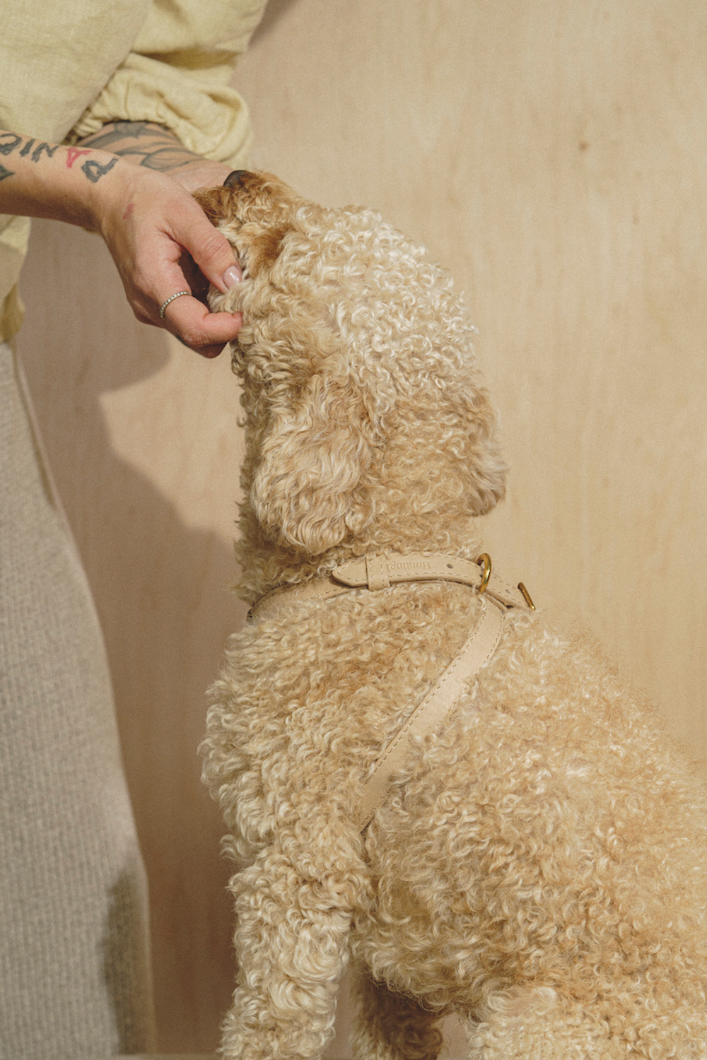 Цельнокожаная шлейка Бежевый