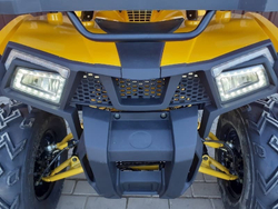 Квадроцикл MOTOLAND ATV 200 Wild Track