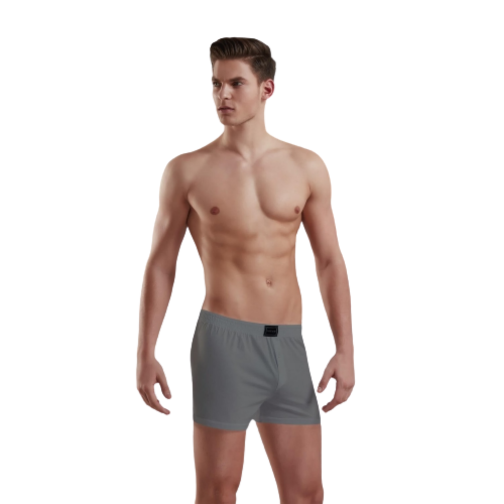 Мужские трусы-шорты хлопковые серые Doreanse 1511