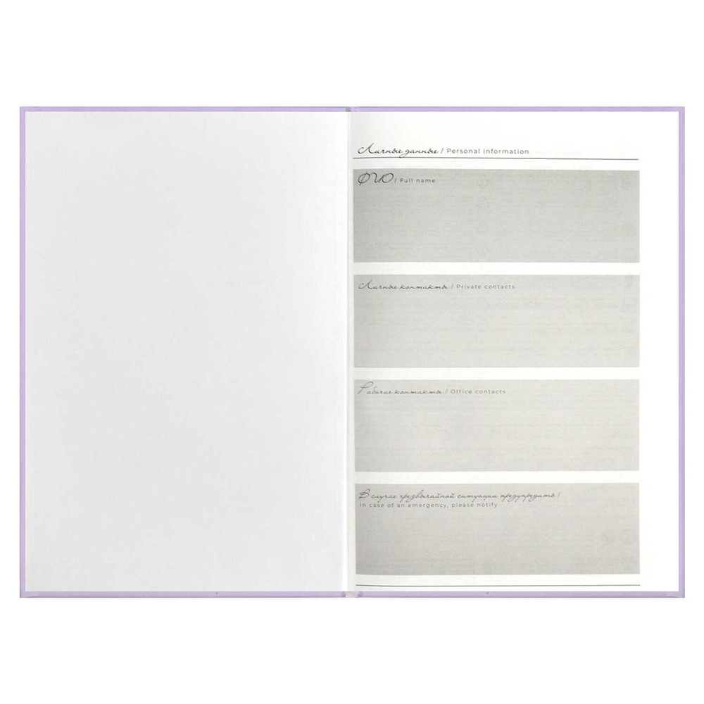 Ежедневник недатированный А5 80л. "Ты - главный урок" (Феникс+)