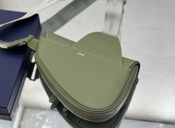 Christian Dior Saddle 26 cm