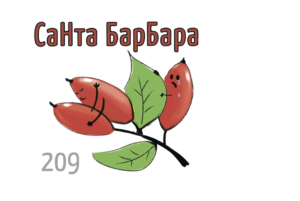 X - Санта Барбара (50г)