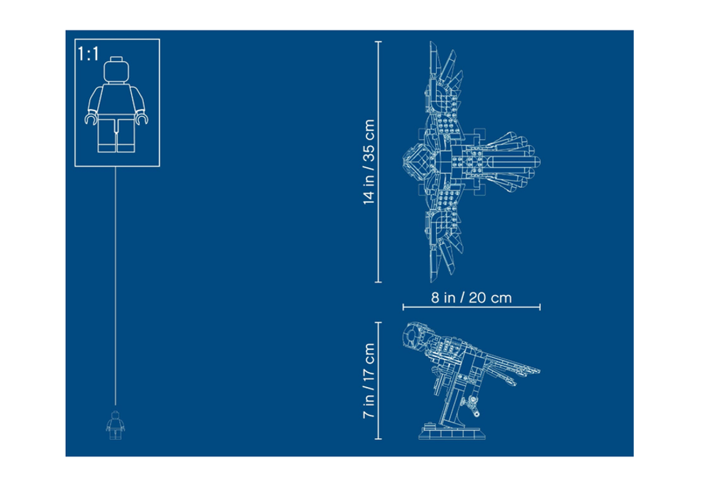 Конструктор LEGO Harry Potter 75979 Букля