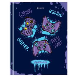 Дневники для старших классов