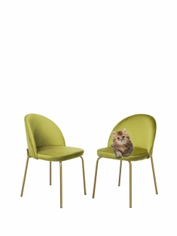 Стул "Мале" 2 шт. Антивандальная ткань, Золотые ножки