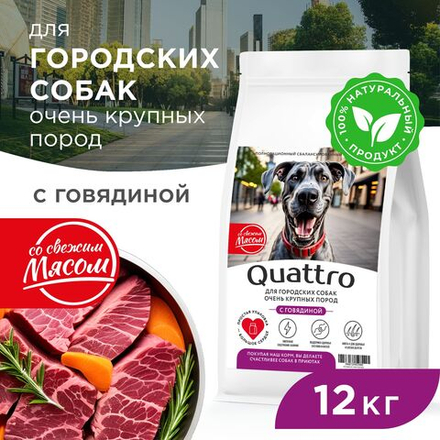 Корм сухой для взрослых собак очень крупных пород, премиум полнорационный комплекс, для городских собак, с говядиной, 12 кг, QUATTRO