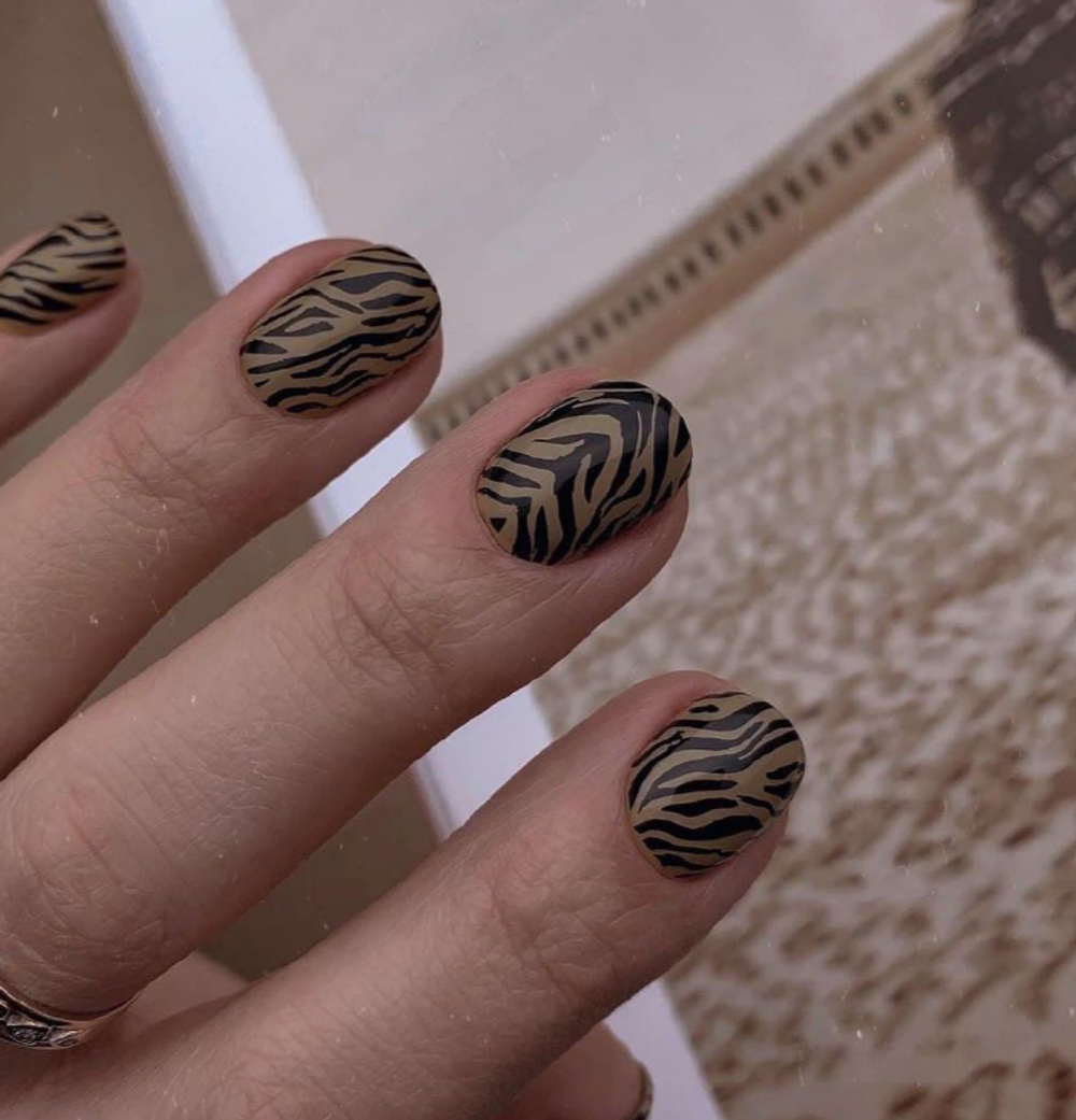 зебра стемпинг