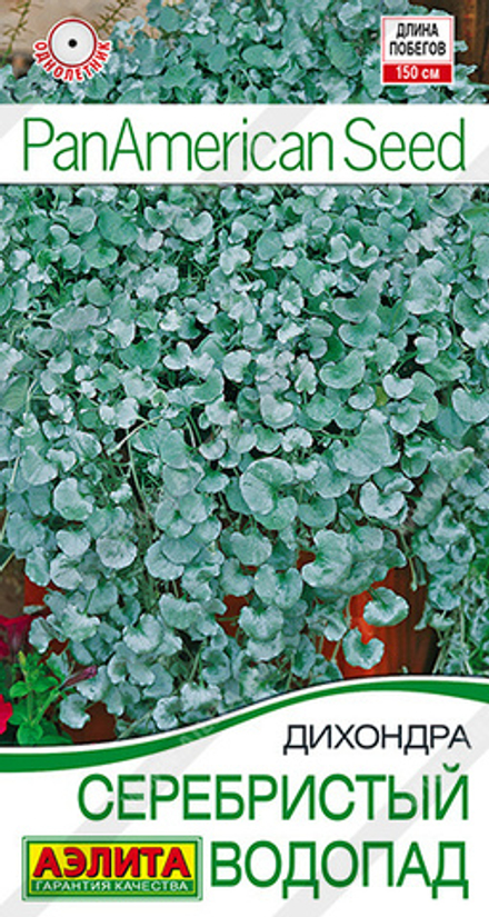 Дихондра Серебристый водопад 3шт Аэлита