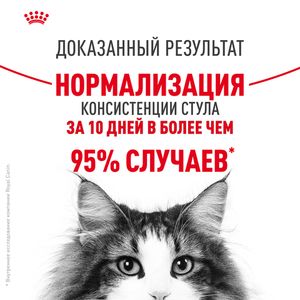 Сухой корм Royal Canin Digestive Care для взрослых кошек для поддержания здоровья пищеварительной системы