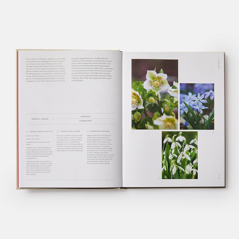 The Seasonal Gardener: Creative Planting Combinations