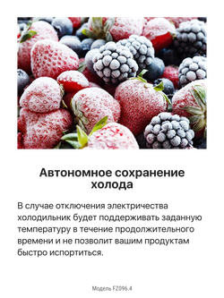 Морозильная камера Hansa FZ096.4