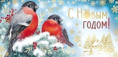 Конверт для денег 170х82мм "С Новым Годом!" золотая фольга (Сфера)