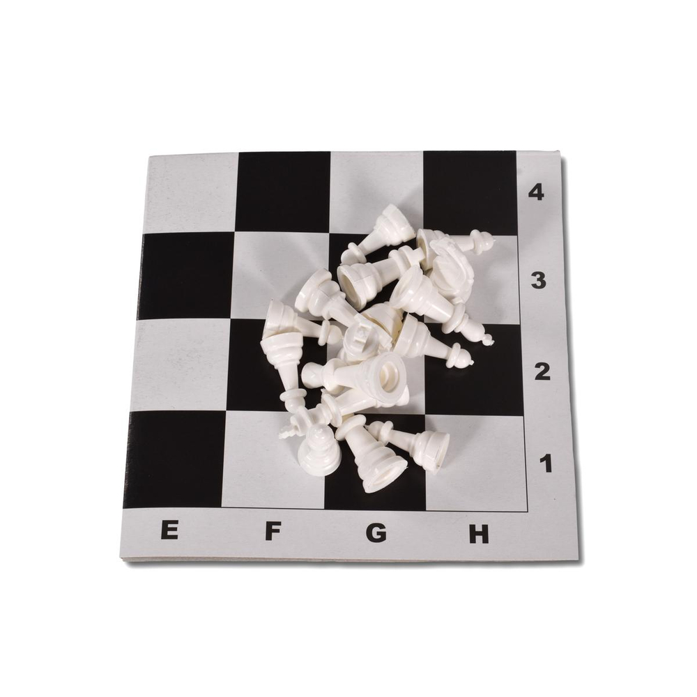 Шахматы и шашки, поле 28,5х28,5см, в пакете (Арт. ИН-0159)